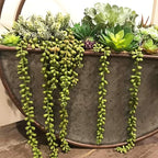 3pcs Artificial Fake String of Pearls Plant Faux Fake Hanging Succulents Plants