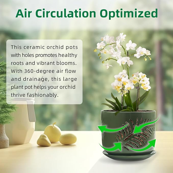 5+6 inch Orchid Pots with Holes, Orchid Pots for Repotting, Healthy Air Circulation Plant Pots for Plant Lovers, Planters for Indoor/Outdoor Plants, Set of 2