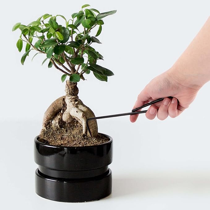 BambooMN Bonsai 2pc Set - 9" Root Pick and 9" Root Rake - 10 Sets