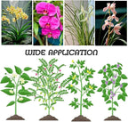 50 Pcs Plant Clips, Orchid Clips Plant Orchid Support Clips Flower and Vine Clips for Supporting Stems Vines Grow Upright for Supporting Stems Vine Stalks Grow