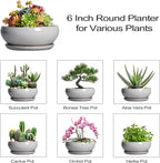 SQOWL Succulent Planters 6 Inch - Ceramic Bonsai Pots with Drainage Hole and Saucer, Shallow Planter for Indoor Plants Outdoor, Round Ceramic Pots for Plants Cactus, Room Decor, Garden Gifts, Gray