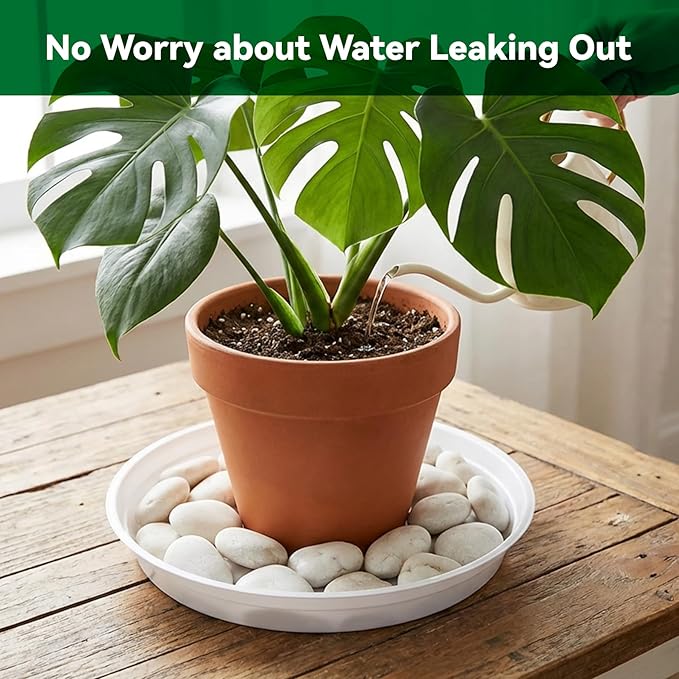 TRUEDAYS 20 Pack White Plant Saucers – 4 Sizes (6"/8"/10"/12") Plastic Flower Pot Trays for Indoor & Outdoor Plants, Drip Trays to Protect Floors & Surfaces