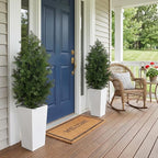 Aveyas 4ft Artificial Cedar Topiary Trees, 4 Feet Faux Potted Plants Evergreen Fake Pine Cypress Tree for Outdoor Porch Home Outside Door Decor (4 ft Tall Including Raised Pot) - Set of 2 Pack