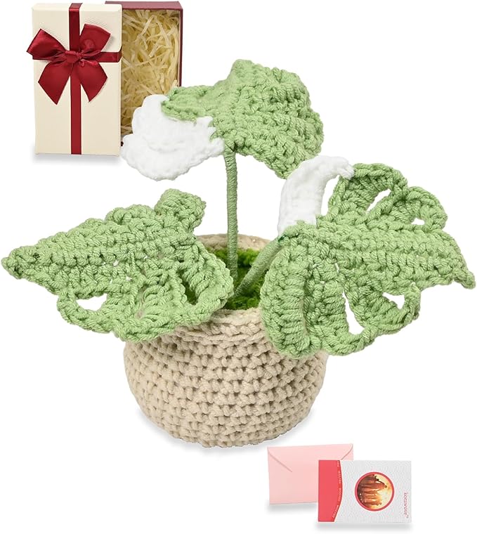 Handmade Positive Crochet Flowers, Green Gifts for Women - Inspirational, New Job, New Business Gifts for Coworker, Boss, Friend - Emotional Support Crochet Plant Monstera Pots for Desk Decor
