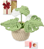Handmade Positive Crochet Flowers, Green Gifts for Women - Inspirational, New Job, New Business Gifts for Coworker, Boss, Friend - Emotional Support Crochet Plant Monstera Pots for Desk Decor