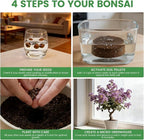 Bonsai Tree Kit for Beginners – 5 Bonsai Starter Kit for Beginner, Indoor for Growing Bonsai Plants with Tools & Planters – DIY Craft Gardening Gifts, White Elephant Gifts for Adults Men Women