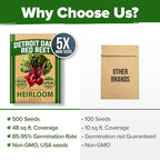 HOME GROWN Detroit Dark Red Beet Seeds 500+ Heirloom Non GMO Seeds for Planting, High Germination, Sweet & Tender Root Vegetable, Edible Greens, Canning, Pickling, Winter Storage (Beta vulgaris)