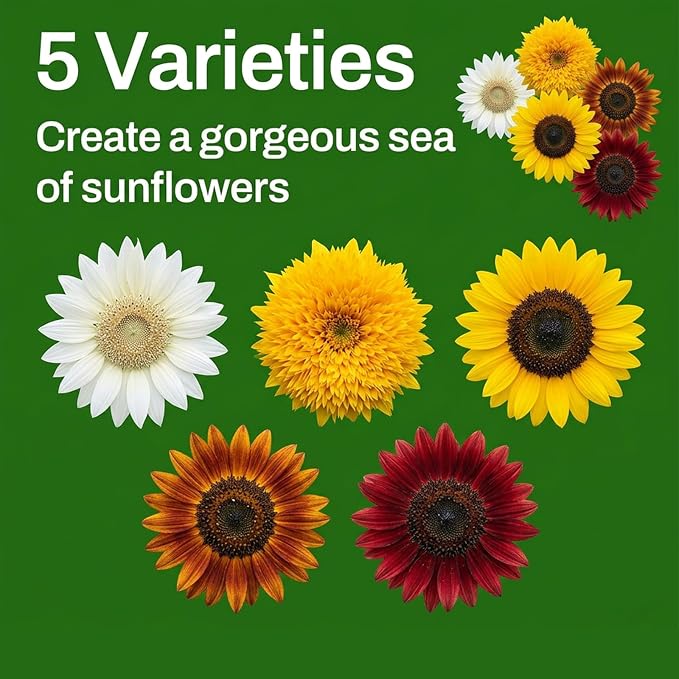LUOJIBIE Sunflower Seeds 5 Varieties Mixed, 1500+ Sunflower Seeds for Planting 2026, High Germination Non-GMO, Wildflower Seeds for Planting Indoor Outdoor, Open Pollinated