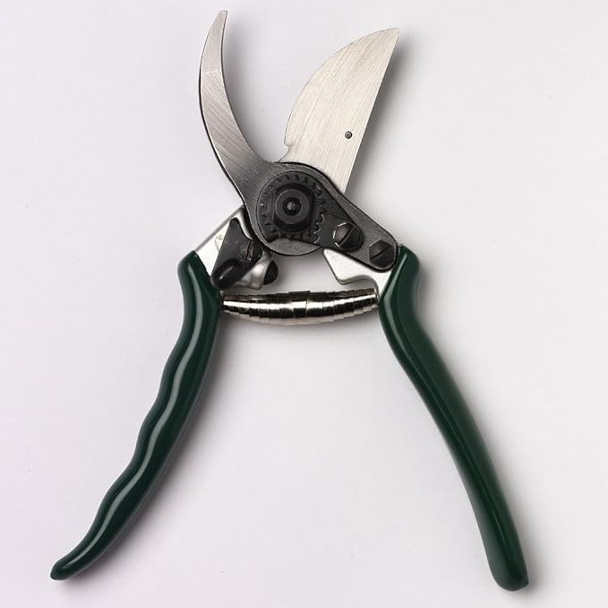 Burgon & Ball GTO/PRB RHS Professional Bypass Secateur