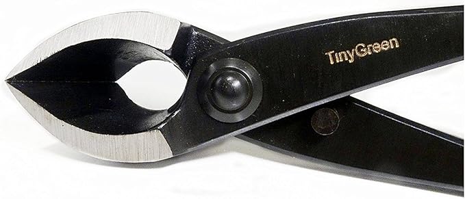 TinyGreen Japan Bonsai Tool: Professional Grade Japanese Concave CuttersQ