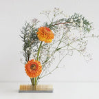 Wazakura Japanese Ikebana Kenzan Long Rectangular Flower Holder 4.7" (120mm), Made in Japan Floral Arranging Pin Frog Tool - (4.7" (120mm) Long Rectangular Brass Kenzan