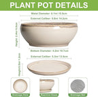 SQOWL Small Bonsai Pots - 6 Inch Ceramic Plant Pots for Succulents, Shallow Planter with Drainage Hole and Saucer, Round Planters for Indoor Outdoor Cactus Plants, House Decor, Birthday Gifts, Beige
