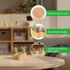 Bigmeta 6 Pcs Wood Air Plant Holder - 1.2" Rustic Style Airplant Display Stands for Women Gifts