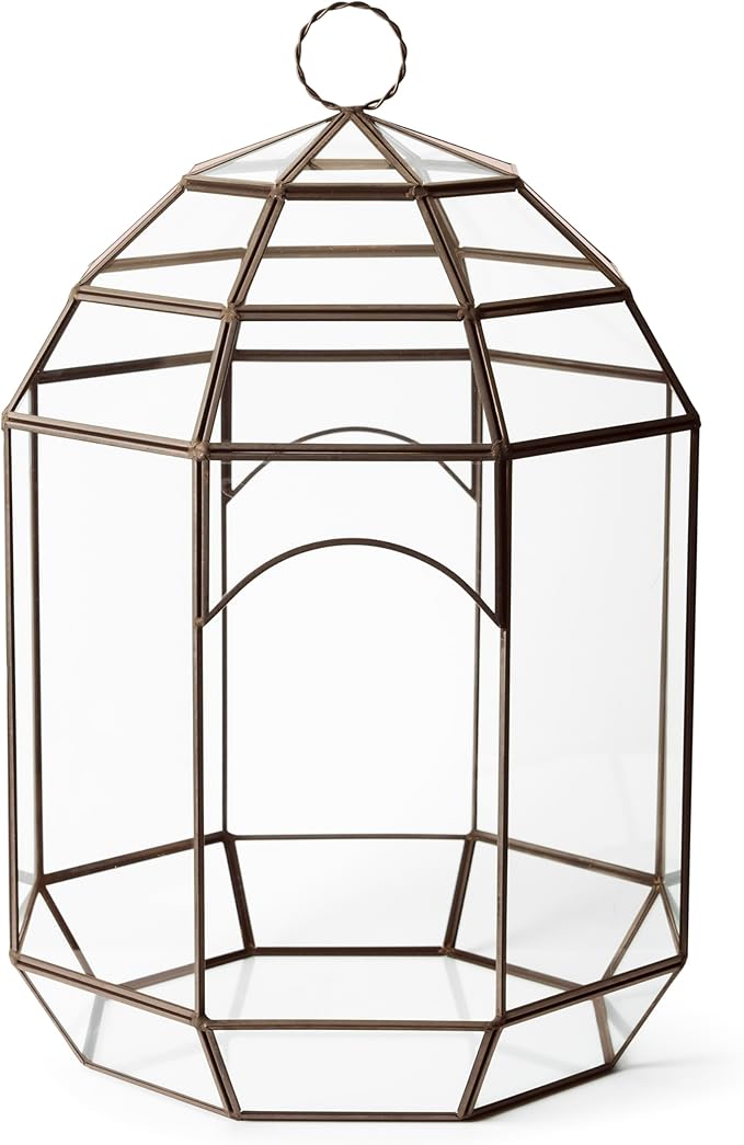 SuperMoss (90406) Glass Terrarium – Modern Glass Planter for Indoor Plants, Succulents, Air Plants & DIY Terrarium Kits, 10.6” x 14.5”, Solarium