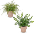 2 Pack Artificial Fern Potted Plant, Fake Plants in Pot, Small Faux Fern Plant for Home Office Farmhouse Living Room Bathroom Kitchen Tabletop Desk Shelf Decoration