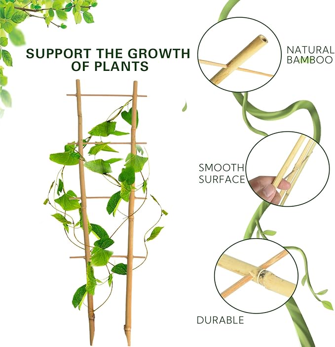 Bamboo Trellis 2FT 3 Pack, S2 Natural Bamboo Plant Ladder Stakes 24 Inch, Fan-Shaped Plant Support Stand for Orchid Vines, Monarchs, Ivy and Other Plants Climbing, Help Plant Growth