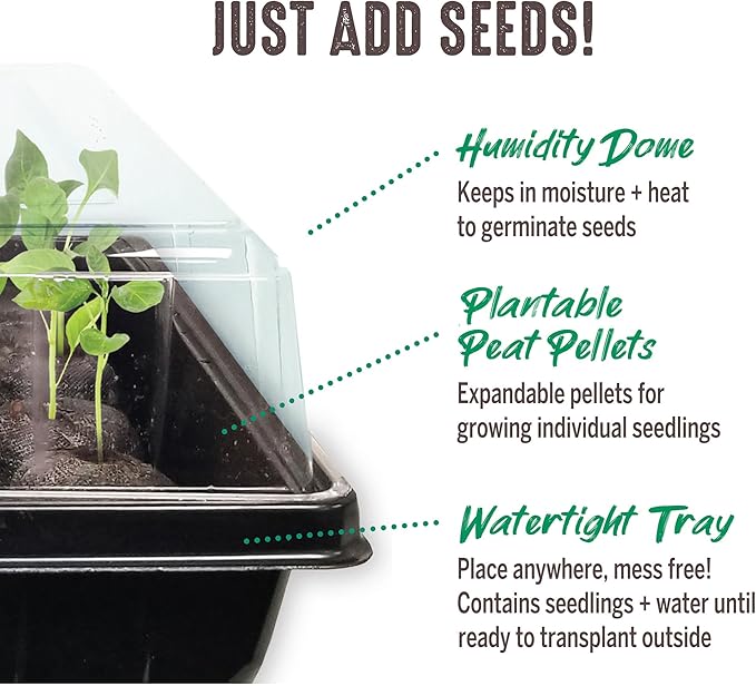 Jiffy Plant Germination Tray Kit - High Germination Rate, Bonus SUPERthrive - 72 Cell, 4 Pack - Plastic