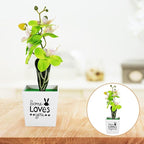 Artificial Moth Orchid Potted Plant Green Plastic Desktop Faux Flower Simulation Home Décor Tabletop Artificial Potted Flower for Living Room Office