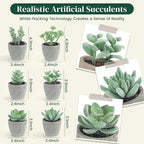 DomeStar Set of 6 Artificial Succulent Plants Potted, Assorted Decorative Faux Succulent Potted Fake Cactus Cacti Plants with Pots