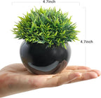 Velener Small Artificial Succulents Grass Desk Plant for Office, Fake Sage Plants for Shelf Decor, Mini Faux Plant Indoor, Masculine Home Decor, Coffee Table Decor, Bathroom Decor in Pot (2 Pack)