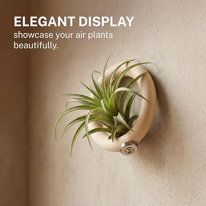 Magnetic Air Plant Holder 6-Pack, 4.5cm Wooden Ring Suspended Display for Tillandsia, Natural Wood Magnet Wall Mount & Refrigerator Sticker, Includes 6 Magnetic Patches Light Wood