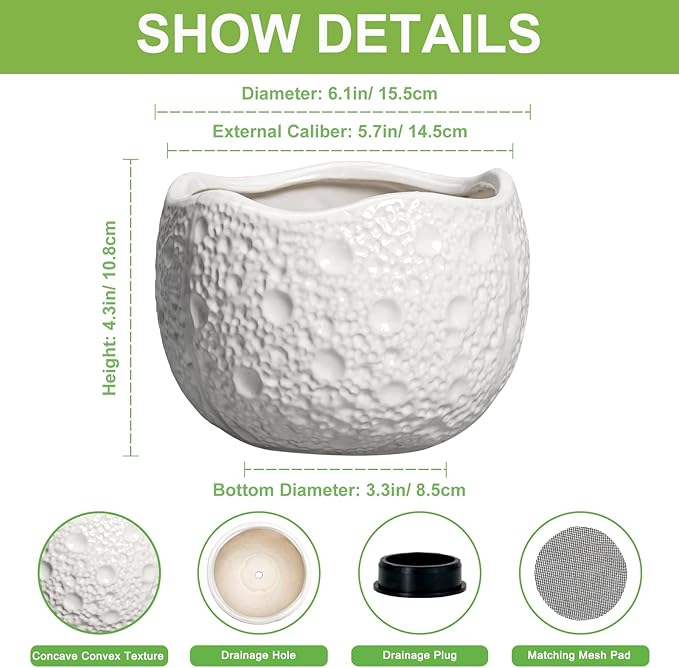 Ceramic Pots for Plants - 6 Inch Plant Pot for Indoor Outdoor, Decorative Orchid Pots with Drainage Hole, Unique Round Modern Planters, Home Decor, Gifts for Plant Lovers, White