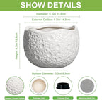 Ceramic Pots for Plants - 6 Inch Plant Pot for Indoor Outdoor, Decorative Orchid Pots with Drainage Hole, Unique Round Modern Planters, Home Decor, Gifts for Plant Lovers, White