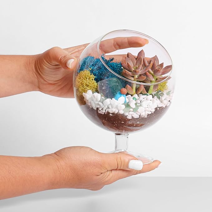 Creations by Nathalie DIY 6" DIY Chalice Terrarium Kit - Build Your Own Glass Terrarium for Adults & Teens with Moss, Crystals, Tools & Decor - Handcrafted in the USA (Live Plant Included)