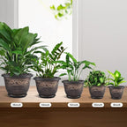 Plastic-Plant-Flower-Planters-16 Inch With Drainage Hole & Saucer, 3 Packs Lightweight Small Resin Flower Pot Indoor Outdoor, Retro Antique Imitation Decorative Garden Containers Sets For Houseplants