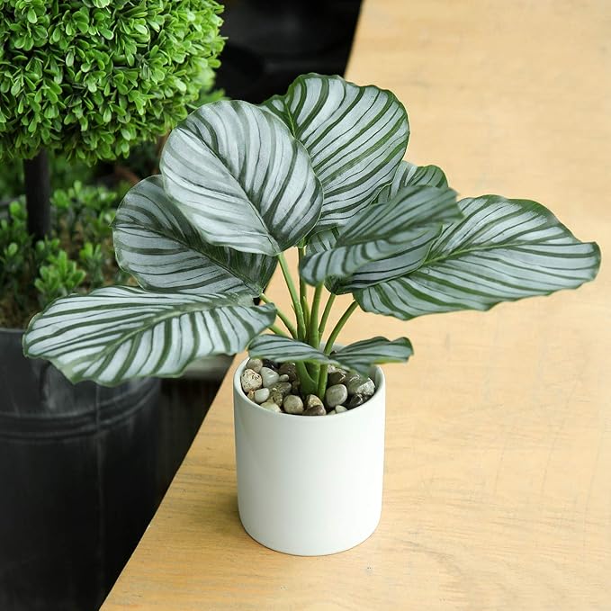 Briful Small Fake Plant 13" Faux Calathea Plants Indoor Artificial Potted Plant in White Ceramic Greenery House Plant for Home Table Office Bathroom Shelf Living Room Desk Decoration