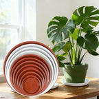 Round Plant Saucer 12 inch,6 Pack Pant Pot Trays, Plant Saucers for Indoors and Outdoors, Seed Starting Tray, Growing Trays,White