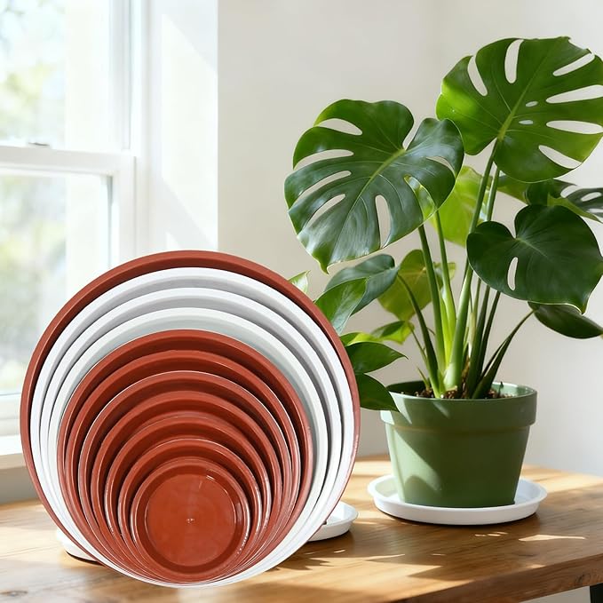 4 Size Round Plant Saucer,8 Pack Pant Pot Trays, Plant Saucers for Indoors and Outdoors, Seed Starting Tray, Growing Trays,White（4",5",6",8"）