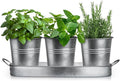 Plexon Herb Planter Indoor Garden Set of 3 with Tray, Metal Herb Pots for Indoor Plants, Round Kitchen Garden Kit Ideal for Windowsill Planter or Countertop, Galvanized Steel