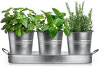 Plexon Herb Planter Indoor Garden Set of 3 with Tray, Metal Herb Pots for Indoor Plants, Round Kitchen Garden Kit Ideal for Windowsill Planter or Countertop, Galvanized Steel
