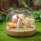 ULTECHNOVO Glass Terrarium Jar with Wood Stopper for Hydroponic Plants and Moss - 5.90 Inch Airtight Container for Micro Landscape Decor in Bedroom, Office, or as Gift for DIY Gardeners