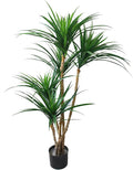 Pure Garden Artificial Tree - 51-Inch Tropical Yucca Plant with Rubber Leaves and Natural Trunk for Living Room, Bedroom and Office - Faux Plants