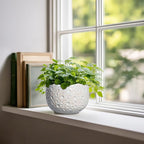 Ceramic Plant Pots 6 Inch - Ceramic Orchid Pot with Drainage Hole and Plug, Unique Pots for Plants Indoor Outdoor, Decorative Modern Planter, Living Room Decor, Plant Lovers Gifts, Grey