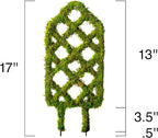 SuperMoss Plant Trellis - Decorative Garden Trellis for Climbing Plants Indoor & Outdoor | Moss-Covered Plant Support for Raised Garden Bed, Patio, Planters, and Garden Decor, Mini 17" X 6.5", Diamond