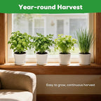 Indoor Herb Garden Starter Kit - Mothers Day Gifts - 4 Non GMO, Heirloom Culinary Herb Seeds, Unique Gardening Gift for Women, Mom, Her, Birthday, Housewarming, Plant Lovers