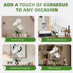 CXGS Orchids Artificial Flowers Realistic Fake Flowers in Ceramic Vase 20" White Faux Plants Indoor Lifelike Soft PU Phalaenopsis for Centerpiece Hotel Home Decor