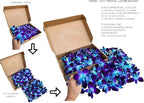 Miami Fresh Orchid Flower OrchidClub USA Sunne Tropical Loose Bloom DIY Lei food drink decoration (50 YELLOW 50 BLUE)