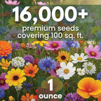All Annual Quick Blooming Mix - 16,000 Flower Seeds for Planting - Wildflower Mix - Large 1 Ounce Packet