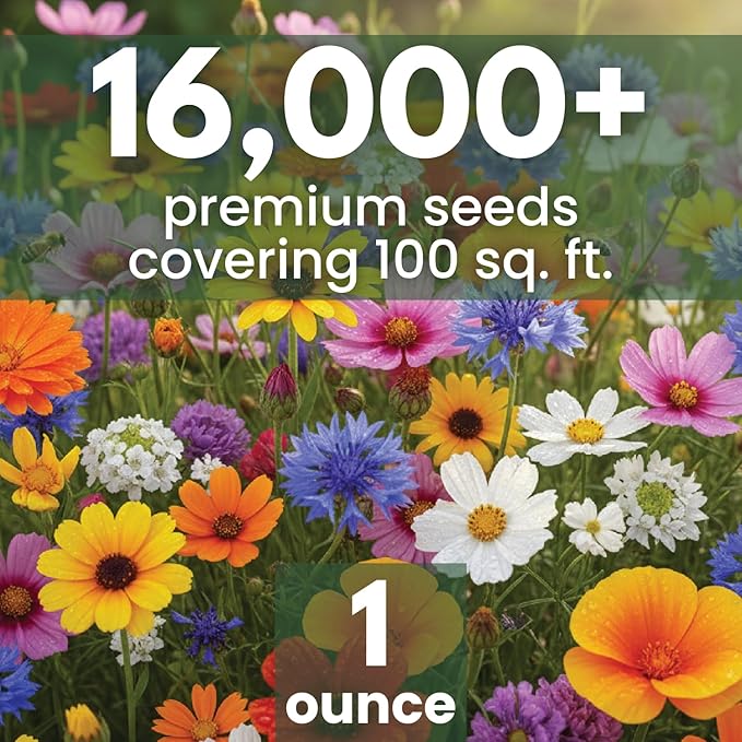 All Annual Quick Blooming Mix - 16,000 Flower Seeds for Planting - Wildflower Mix - Large 1 Ounce Packet