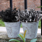 RECUTMS Black Artificial Flowers, Fake Outdoor UV Resistant Plants Faux Plastic Greenery Shrubs Indoor Outside Hanging Planter Halloween Flower Decor (Black +White Eucalyptus)