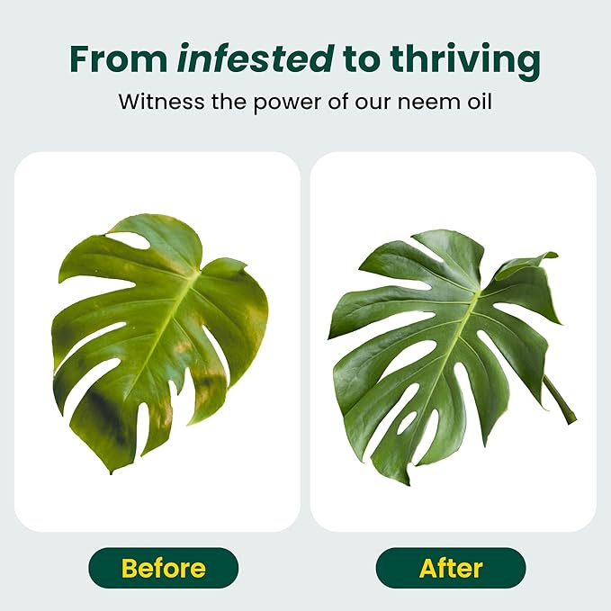 Neem Oil for Plants (Makes 30 Bottles) with Spray Bottle & Essential Oils for Indoor Houseplants & Outdoor Gardens, Natural Leaf Shine