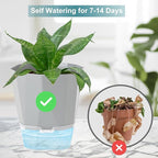 3 Pack Self Watering Flower Pots 6.5 Inch, Plant Pots for Indoor Outdoor, Self Watering Planters with Wick Rope and Clear Reservoir