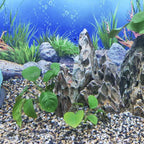 YISZM 10lbs Aquarium Gravel, 1/8"(2-4mm) Natural River Rocks Succulent Cactus Pea Gravel for Plants, Fish Tank, Decorative Pebbles for Gardening, Flower Pots, Vase Fillers, Landscaping