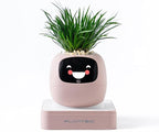 Smart Pet Planter, Smart Plant Pot, With Artificial Intelligence, Time Weather Display, And Multiple Expressions Animation,Lovely Plant Companion, For Desktop Decoration, Gifts,Plant-Free (Blush)