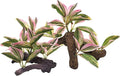 M2cbridge Fish Tank Plastic Soft Grass Artificial Betta Water Plants Decoration Goldfish Hide 2pcs (Pink)