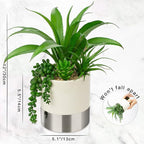 Hollyone Large Artificial Succulents Plants Faux Succulents 12" Fake Succulent Plants in Sliver Ceramic Pot Succulent Plant for Desk Modern Home Living Room Office Table Bathroom Decor